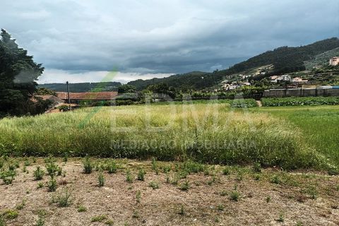 Terra a Roriz, Porto, Roriz - € 50.000 | Ref: MM2406XC20T1 - foto 6