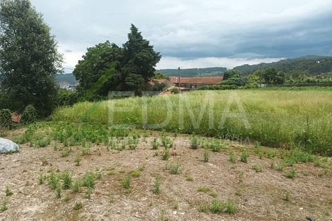 Terra a Roriz, Porto, Roriz - € 50.000 | Ref: MM2406XC20T1 - foto 7
