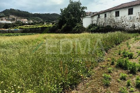 Terra a Roriz, Porto, Roriz - € 50.000 | Ref: MM2406XC20T1 - foto 9