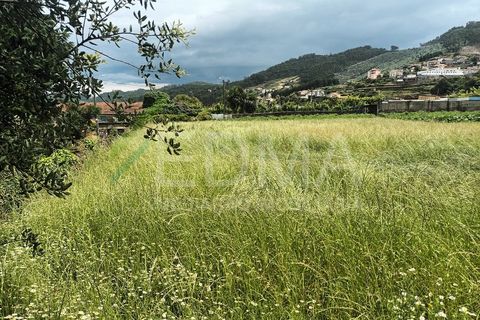 Terra a Roriz, Porto, Roriz - € 50.000 | Ref: MM2406XC20T1 - foto 10