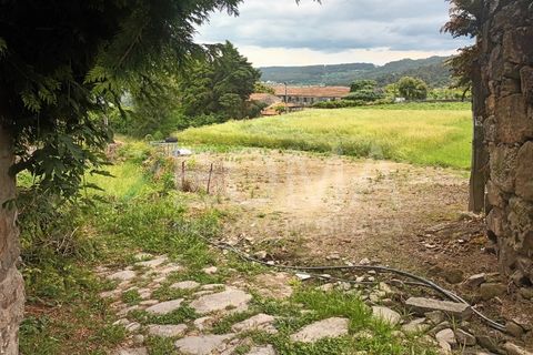 Terra a Roriz, Porto, Roriz - € 50.000 | Ref: MM2406XC20T1 - foto 14