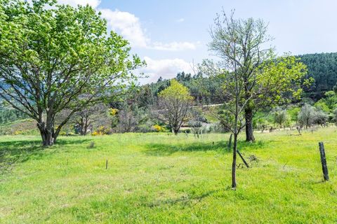 Landejendom i Covilha, Castelo Branco, Covilha - € 86.500 | Ref: CAS_257 - foto 16