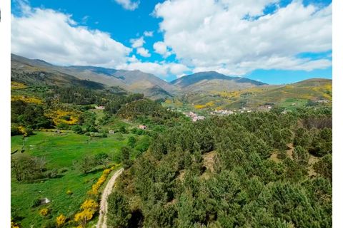 Landejendom i Covilha, Castelo Branco, Covilha - € 86.500 | Ref: CAS_257 - foto 19