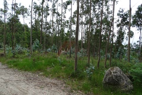 Tomt i Fafe, Braga, Fafe - € 39 900 | Ref: 002-307 - foto 2