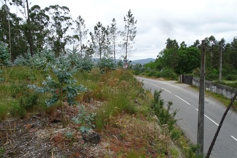 Tomt i Fafe, Braga, Fafe - € 39 900 | Ref: 002-307 - foto 7