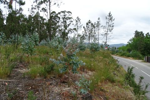 Tomt i Fafe, Braga, Fafe - € 39 900 | Ref: 002-307 - foto 8