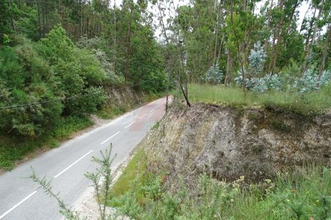 Tomt i Fafe, Braga, Fafe - € 39 900 | Ref: 002-307 - foto 9