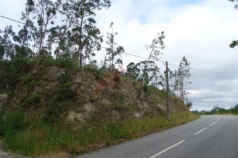 Tomt i Fafe, Braga, Fafe - € 39 900 | Ref: 002-307 - foto 11