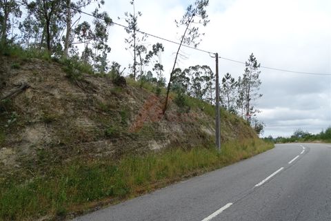 Tomt i Fafe, Braga, Fafe - € 39 900 | Ref: 002-307 - foto 12