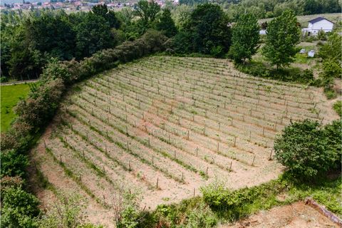 Helårsgrund i Fafe, Braga, Fafe - € 51.500 | Ref: 002-301 - foto 9