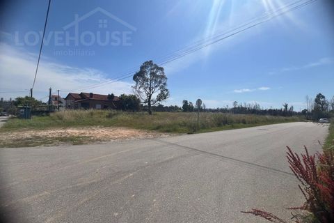 Terra a Angeja, Aveiro, Angeja - € 120.000 | Ref: LHP020625 - foto 2