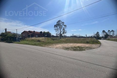 Terra a Angeja, Aveiro, Angeja - € 120.000 | Ref: LHP020625 - foto 3