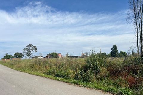 Terra a Angeja, Aveiro, Angeja - € 120.000 | Ref: LHP020625 - foto 4