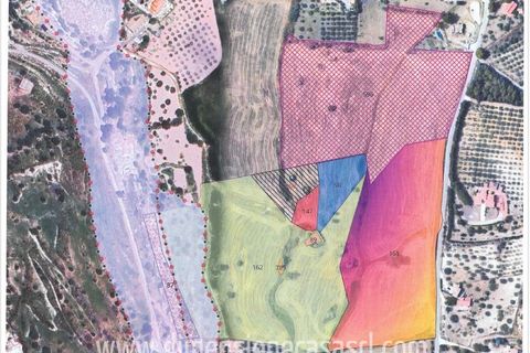 Terra a Caltanissetta, Caltanissetta, Caltanissetta - € 98.000 | Ref: TA74 - foto 4