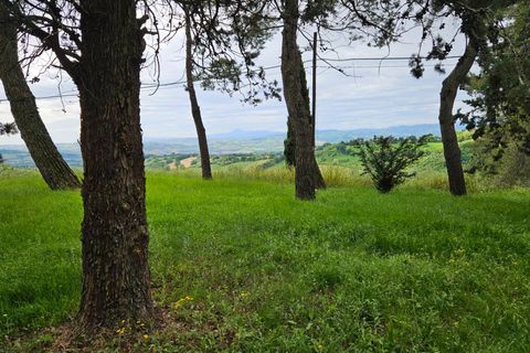 Herregård i Cartoceto, Pesaro and Urbino, Cartoceto - € 135 000 | Ref: C/342 - foto 2