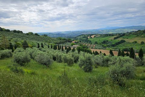 Herregård i Cartoceto, Pesaro and Urbino, Cartoceto - € 135 000 | Ref: C/342 - foto 3
