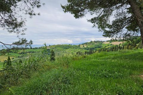Herregård i Cartoceto, Pesaro and Urbino, Cartoceto - € 135 000 | Ref: C/342 - foto 5