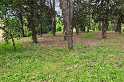 Herregård i Cartoceto, Pesaro and Urbino, Cartoceto - € 135 000 | Ref: C/342 - foto 6
