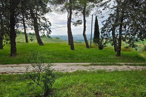 Herregård i Cartoceto, Pesaro and Urbino, Cartoceto - € 135 000 | Ref: C/342 - foto 7