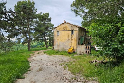 Herregård i Cartoceto, Pesaro and Urbino, Cartoceto - € 135 000 | Ref: C/342 - foto 8