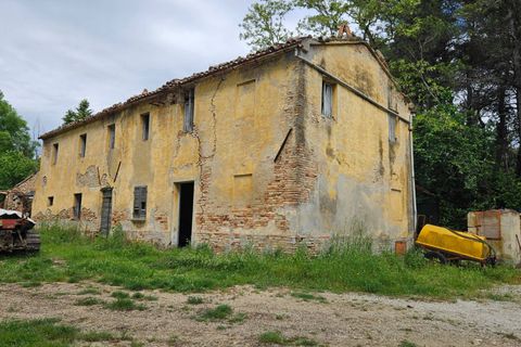 Herregård i Cartoceto, Pesaro and Urbino, Cartoceto - € 135 000 | Ref: C/342 - foto 9