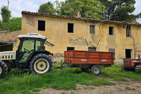 Herregård i Cartoceto, Pesaro and Urbino, Cartoceto - € 135 000 | Ref: C/342 - foto 10