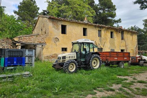Herregård i Cartoceto, Pesaro and Urbino, Cartoceto - € 135 000 | Ref: C/342 - foto 11
