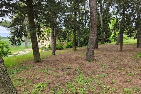 Herregård i Cartoceto, Pesaro and Urbino, Cartoceto - € 135 000 | Ref: C/342 - foto 15