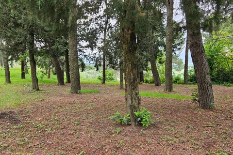 Herregård i Cartoceto, Pesaro and Urbino, Cartoceto - € 135 000 | Ref: C/342 - foto 17