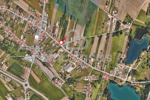 Helårsgrund i Ilhavo, Aveiro, Ilhavo - € 60.000 | Ref: LP04062025 - foto 6