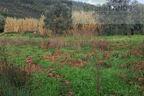 Helårsgrund i Gois, Coimbra, Gois - € 35.000 | Ref: 645 - foto 2
