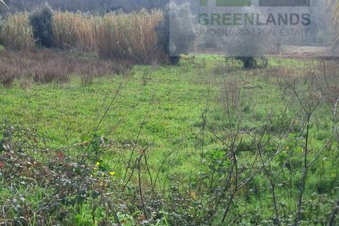 Helårsgrund i Gois, Coimbra, Gois - € 35.000 | Ref: 645 - foto 3