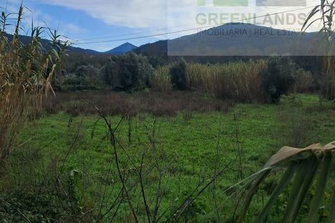 Helårsgrund i Gois, Coimbra, Gois - € 35.000 | Ref: 645 - foto 6