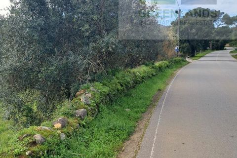 Helårsgrund i Gois, Coimbra, Gois - € 35.000 | Ref: 645 - foto 7