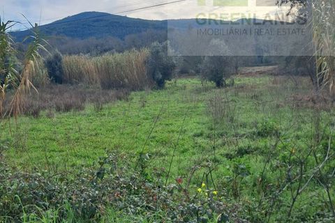 Helårsgrund i Gois, Coimbra, Gois - € 35.000 | Ref: 645 - foto 8
