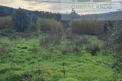 Helårsgrund i Gois, Coimbra, Gois - € 35.000 | Ref: 645 - foto 9