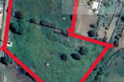 Helårsgrund i Gois, Coimbra, Gois - € 35.000 | Ref: 645 - foto 10