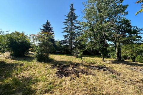 Landejendom i Ceaulmont, Indre, Ceaulmont - € 138.000 | Ref: 187189 - foto 8