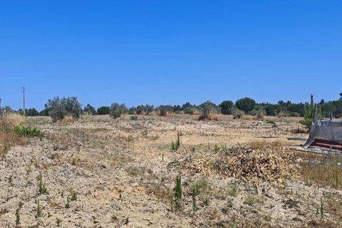 Helårsgrund i Coruche, Santarem, Coruche - € 55.000 | Ref: 143573 - foto 2