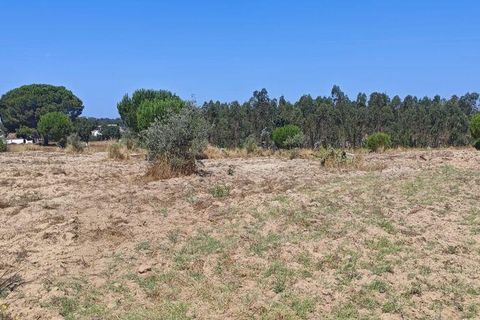 Helårsgrund i Coruche, Santarem, Coruche - € 55.000 | Ref: 143573 - foto 3