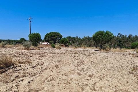 Helårsgrund i Coruche, Santarem, Coruche - € 55.000 | Ref: 143573 - foto 4