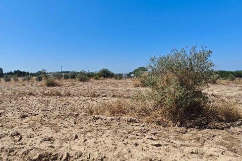 Helårsgrund i Coruche, Santarem, Coruche - € 55.000 | Ref: 143573 - foto 5