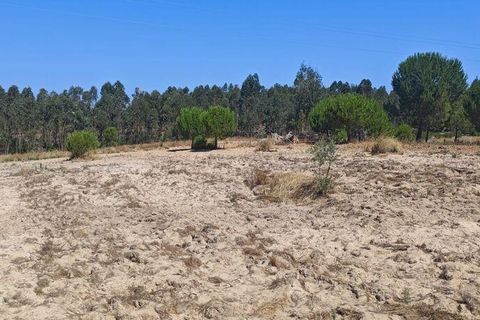 Helårsgrund i Coruche, Santarem, Coruche - € 55.000 | Ref: 143573 - foto 6