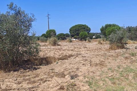 Helårsgrund i Coruche, Santarem, Coruche - € 55.000 | Ref: 143573 - foto 7