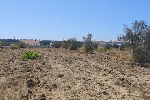Helårsgrund i Coruche, Santarem, Coruche - € 55.000 | Ref: 143573 - foto 8