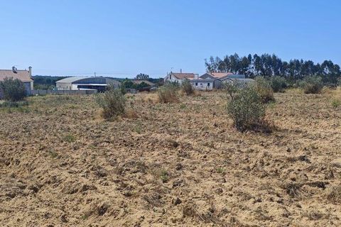 Helårsgrund i Coruche, Santarem, Coruche - € 55.000 | Ref: 143573 - foto 9
