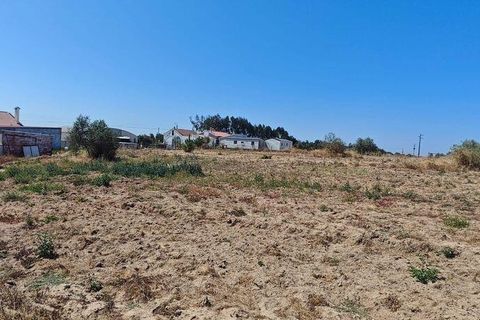 Helårsgrund i Coruche, Santarem, Coruche - € 55.000 | Ref: 143573 - foto 10