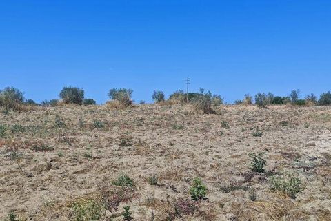 Helårsgrund i Coruche, Santarem, Coruche - € 55.000 | Ref: 143573 - foto 11