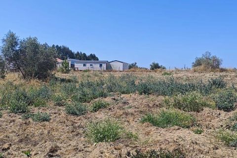 Helårsgrund i Coruche, Santarem, Coruche - € 55.000 | Ref: 143573 - foto 12
