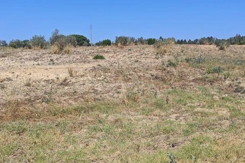 Helårsgrund i Coruche, Santarem, Coruche - € 55.000 | Ref: 143573 - foto 13